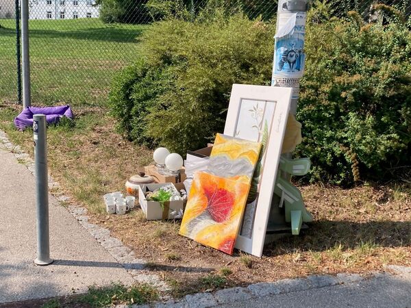 Wild abgestellte Gegenstände auf einer öffentlichen Grünfläche